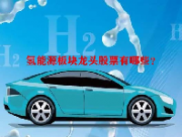 氢能源板块龙头股票有哪些？
