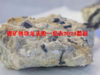 锂矿板块龙头股一览表2023最新