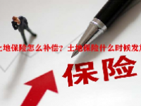 土地保险怎么补偿？土地保险什么时候发放？