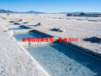 盐湖提锂概念股一览表2023