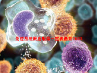 免疫系统概念股票一览表最新2023