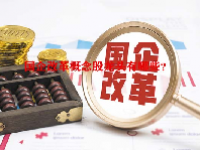 国企改革概念股龙头有哪些？