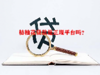 桔柚花贷款是正规平台吗？