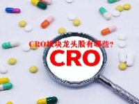 CRO板块龙头股有哪些？