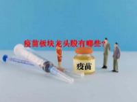 疫苗板块龙头股有哪些？