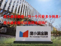 度小满金融借一万一个月得多少利息？度小满金融可以延期还款吗？