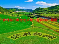 绿色建筑概念股票龙头股最新一览表2023