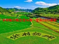 乡村振兴概念龙头股一览表2023最新