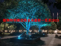 植物照明概念股龙头最新一览表2023