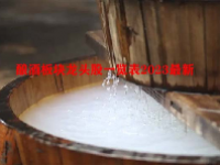 酿酒板块龙头股一览表2023最新