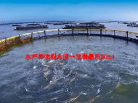 水产养殖概念股一览表最新2024