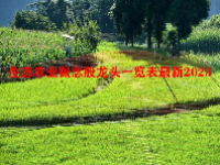 生态农业概念股龙头一览表最新2023