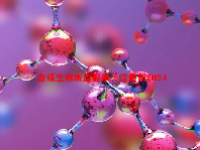 合成生物概念股票一览最新2024