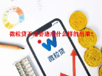 微粒贷不还会造成什么样的后果？