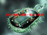 合成生物概念股票一览2023最新