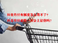 抖音月付有额度怎么用不了？抖音月付逾期一天会上征信吗？
