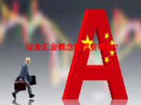 证金汇金概念股票有哪些？