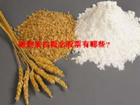 植物蛋白概念股票有哪些？