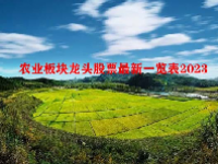 农业板块龙头股票最新一览表2023