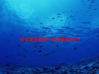 海洋概念股票一览表最新2024