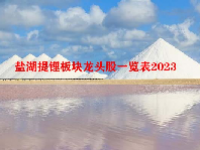 盐湖提锂板块龙头股一览表2023