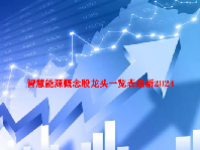 智慧能源概念股龙头一览表最新2024
