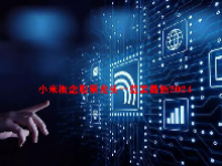 小米概念股票龙头一览表最新2024
