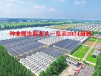种业概念股龙头一览表2024最新