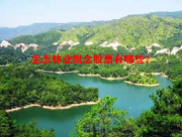 生态林业概念股票有哪些？