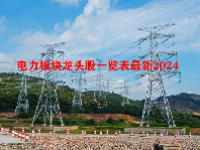 电力板块龙头股一览表最新2024
