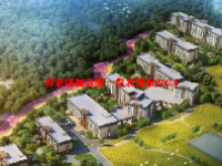 养老院概念股一览表最新2024