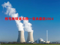 核电板块龙头股一览表最新2024