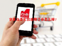 京东白条欠款逾期了会怎么样？
