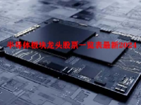 半导体板块龙头股票一览表最新2024