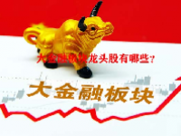 大金融板块龙头股有哪些？