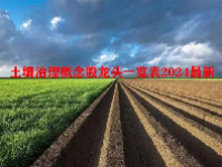 土壤治理概念股龙头一览表2024最新