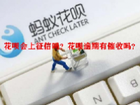 花呗会上征信吗？花呗逾期有催收吗？