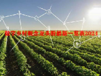 数字乡村概念龙头股最新一览表2024