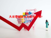 大消费板块龙头股有哪些？