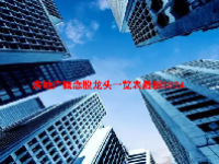 房地产概念股龙头一览表最新2024