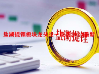 盐湖提锂板块龙头股一览表2024最新