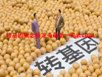 转基因概念股龙头最新一览表2024