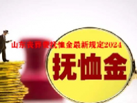 山东丧葬费抚恤金最新规定2024