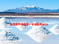 盐湖提锂概念股一览表最新2024