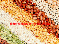 膳食纤维概念股票一览表2024最新