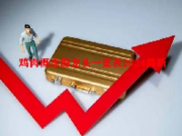 鸡肉概念股龙头一览表2024最新