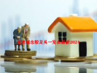 养老概念股龙头一览表最新2024