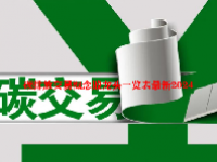 碳排放交易概念股龙头一览表最新2024