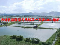农林牧渔股票龙头股票一览表2024最新
