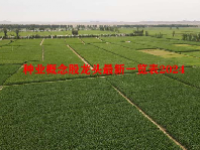 种业概念股龙头最新一览表2024